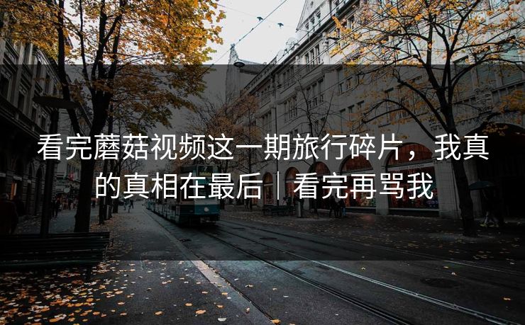 看完蘑菇视频这一期旅行碎片，我真的真相在最后｜看完再骂我